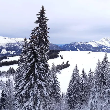 Le Soladret - 2 Pieces 4 Etoiles - Vue Extraordinaire Sur Les Aravis *